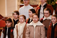 DSC2717-2026-02-01-164142