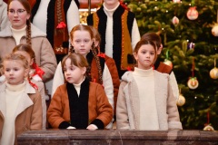 DSC2719-2026-02-01-164159