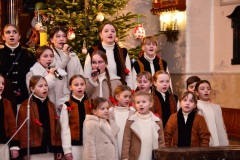 DSC2730-2026-02-01-164419