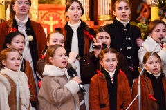 DSC2731-2026-02-01-164428