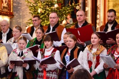 DSC2739-2026-02-01-164918