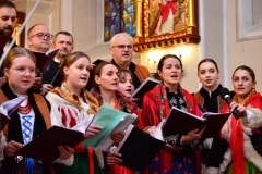 DSC2754-2026-02-01-165607