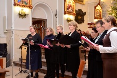 DSC2788-2026-02-01-171950