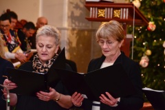 DSC2793-2026-02-01-172039