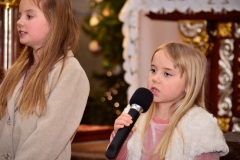 DSC2826-2026-02-01-174511