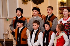 DSC2835-2026-02-01-175847