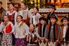 DSC2837-2026-02-01-175901