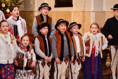 DSC2838-2026-02-01-175920