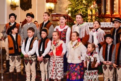 DSC2842-2026-02-01-180134