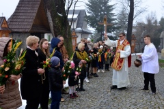 DSC3131-2026-03-29-113623