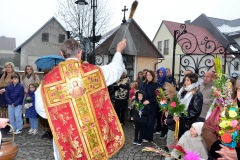 DSC3134-2026-03-29-113636