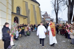 DSC3136-2026-03-29-113641